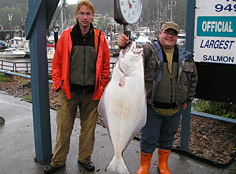 halibut
