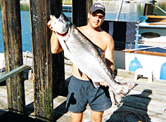 salmon-chinook