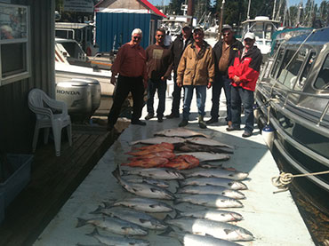 salmon3