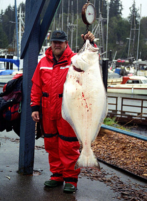 tips-halibut