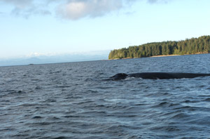 vancouver_island1