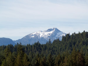 vancouver_island2